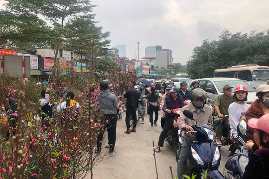Hà Nội: Rộn ràng thị trường hoa, cây cảnh cận Tết Canh Tý 2020