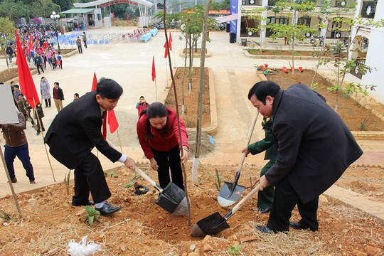 Sơn La: Nhiều địa phương ra quân hưởng ứng Tết trồng cây 2020