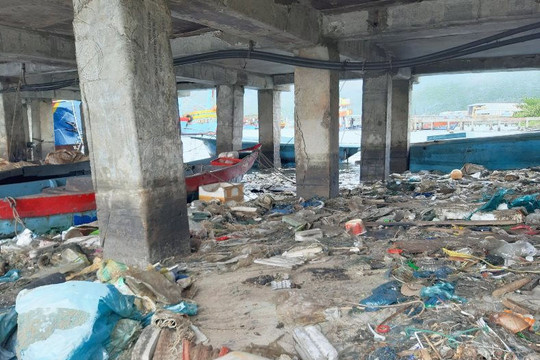 Cảng cá Thọ Quang: Nơi người dân sống chung với rác thải