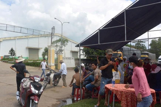 Nhà máy cồn gây ô nhiễm ở Quảng Nam: Tỉnh cho phép hoạt động, dân cương quyết ngăn cản