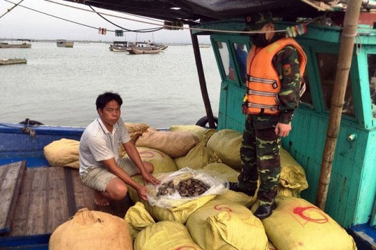 Quảng Ninh: Bắt giữ gần 9 tấn thủy sản vận chuyển trái phép