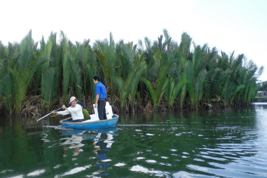 Quảng Ngãi: Bàn giao gần 50 hecta rừng ngập mặn cho cộng đồng quản lý