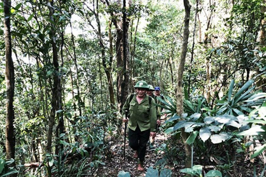 Đà Nẵng: Siết chặt bảo vệ rừng tại Khu bảo tồn thiên nhiên Bà Nà – Núi Chúa