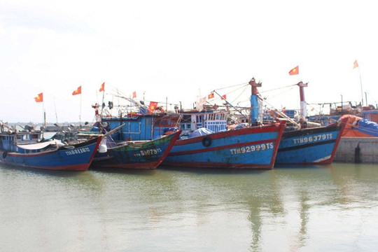 Thừa Thiên Huế: Nhiều tàu cá mất kết nối với cơ quan quản lý thủy sản