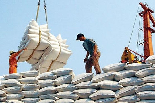 Phó Thủ tướng yêu cầu báo cáo việc mở tờ khai xuất khẩu gạo