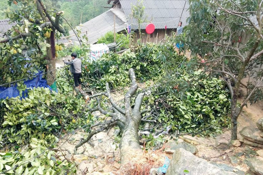 Lào Cai: Thiệt hại hơn 15 tỷ đồng do mưa đá, dông lốc