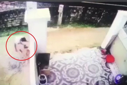 Nghệ An: Phẫn nộ tài xế lùi xe cán chết bé trai rồi giấu xác
