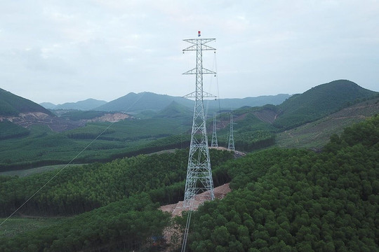 Nghệ An: Chuyển hơn 54 ha rừng thực hiện đường dây điện 500KV
