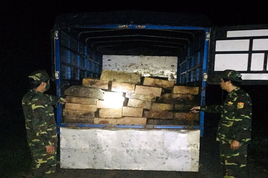 Bắt giữ xe tải vận chuyển hàng chục phách gỗ trái phép