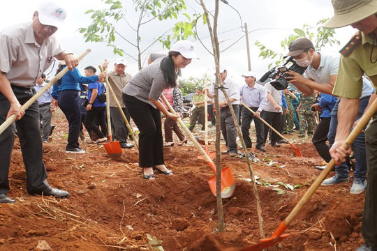 Đắk Nông tổ chức trồng cây xanh kỷ niệm 130 năm Ngày sinh Chủ tịch Hồ Chí Minh