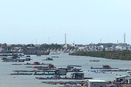 Bà Rịa – Vũng Tàu: Quyết di dời cơ sở nuôi trồng thủy sản ngoài vùng quy hoạch