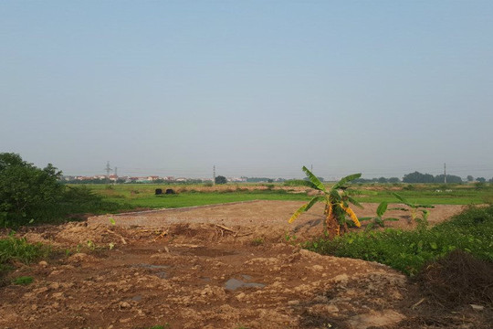 Để xảy ra sai phạm đất đai: “Quan” phường ở Bắc Ninh bị đề nghị cách chức