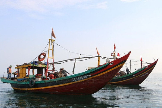 Nghệ An: Xử lý 4 tàu cá đánh bắt thủy sản trái phép