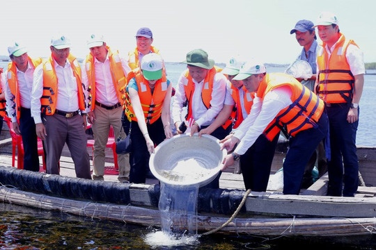 Chính thức thành lập Khu bảo tồn đất ngập nước Tam Giang – Cầu Hai