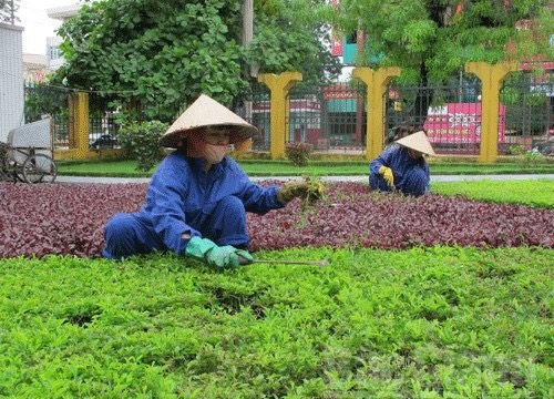 Bắc Giang: Từng bước đổi mới phương thức thu gom, vận chuyển rác thải