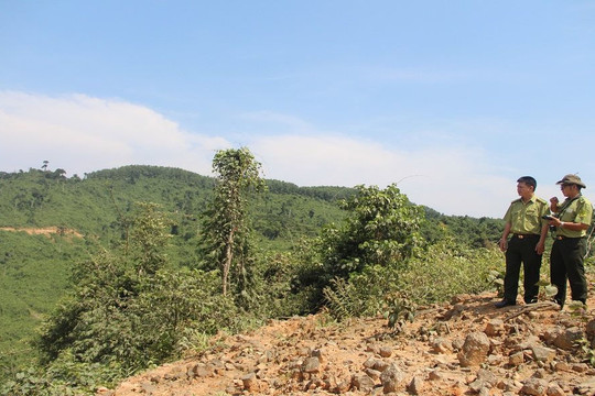 Thừa Thiên Huế: Hơn 800ha rừng tự nhiên “bốc hơi”