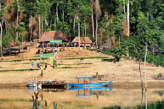 Quảng Nam: Để rừng Sông Thanh trở thành vườn Quốc gia