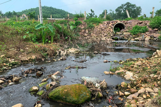 Công ty Cổ phần Chăn nuôi C.P Việt Nam: Lợi ích mang đi, ô nhiễm để lại