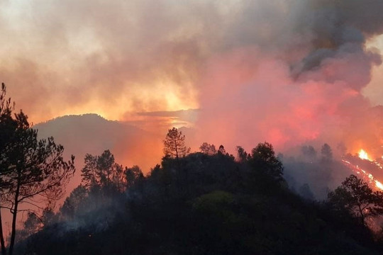 Hà Tĩnh huy động hàng trăm người chặn cháy rừng lan rộng