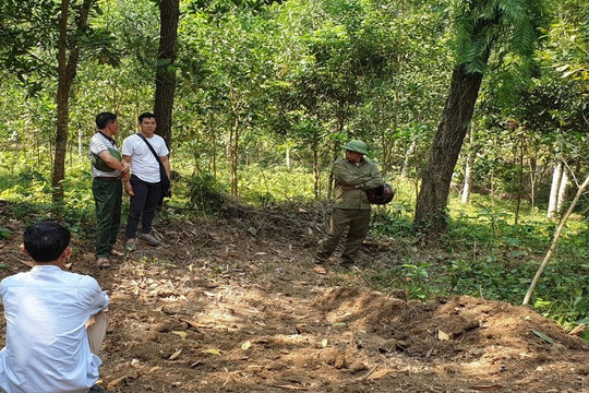 Thanh Hóa: Đẩy mạnh công tác quản lý bảo vệ rừng đặc dụng, phòng hộ