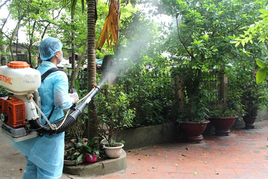 Hà Nội ghi nhận 634 ca mắc sốt xuất huyết trong 6 tháng đầu năm