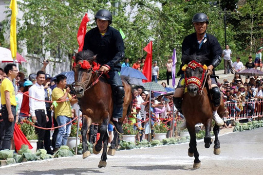 Lào Cai: Hấp dẫn giải đua “ Vó ngựa trên mây” 