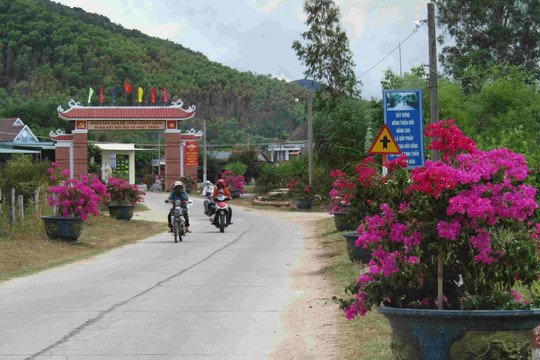 Bình Định: Thôn Chánh Danh khoe sắc đường làng