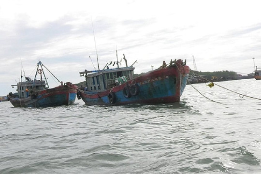 Quảng Bình: Bắt giữ 2 tàu cá khai thác thủy hải sản sai tuyến trên biển