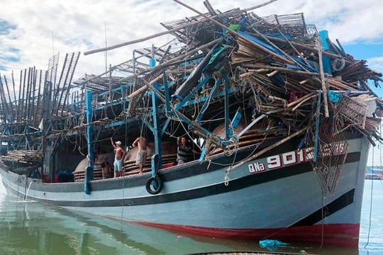 Quảng Nam: Đâm tàu câu mực khiến ngư dân rơi xuống biển, tàu hàng bỏ đi