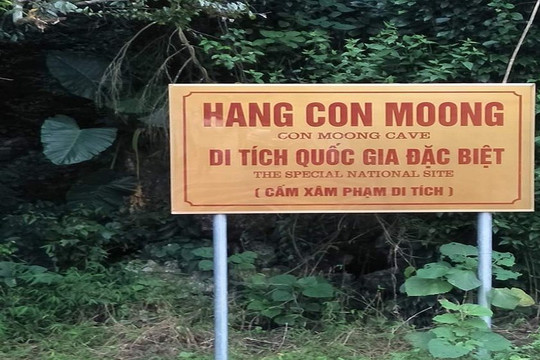  Bảo tồn di tích khảo cổ hang Con Moong