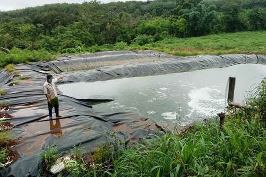 Gia Lai: Quy định khu vực chăn nuôi, đảm bảo môi trường