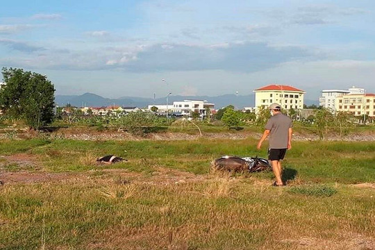 Quảng Bình: Tá hỏa phát hiện thi thể nam thanh niên trên bãi cỏ