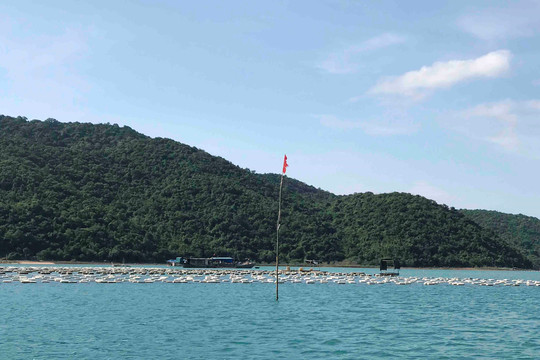 Quảng Ninh ban hành quy chuẩn về vật liệu sử dụng làm phao nổi trong nuôi trồng thủy sản