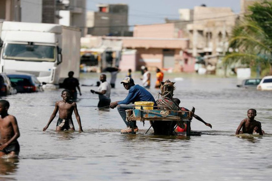 Lũ lụt nghiêm trọng ảnh hưởng đến 760.000 người ở Tây và Trung Phi