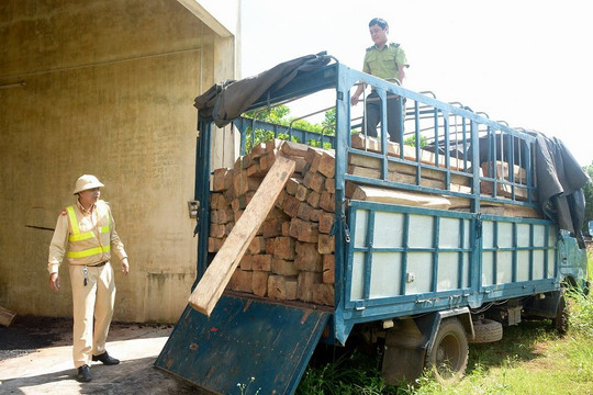 Cảnh sát giao thông liên tục phát hiện gỗ lậu