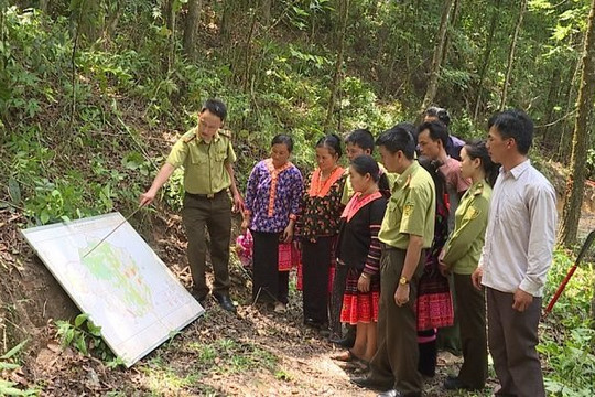 Động lực để người dân Mường Chà (Điện Biên) bảo vệ rừng