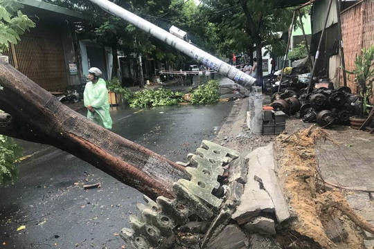 Điện lực Đà Nẵng phản hồi vụ cột điện “không lõi thép” bị gãy do bão số 5