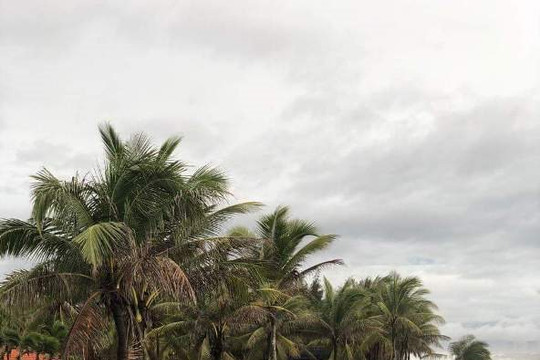 Tránh bão số 5, Quảng Nam sơ tán hơn 1.500 người 