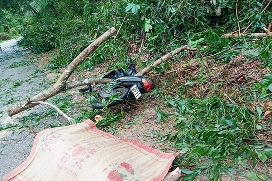 Thừa Thiên Huế: Gần 100 người thương vong, hơn 21.000 nhà tốc mái do bão số 5