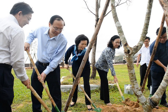 Vinamilk trồng hàng trăm ngàn cây xanh trên khắp Việt Nam để bảo vệ môi trường