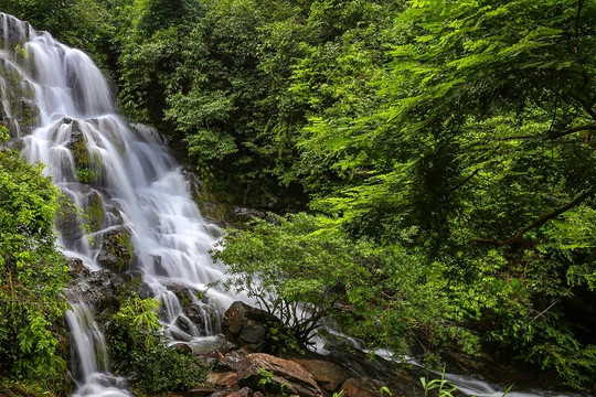 Quảng Bình: Xây dựng Phương án quản lý rừng bền vững Vườn Quốc gia Phong Nha – Kẻ Bàng