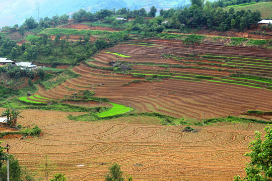 Lai Châu: Trên 755 nghìn héc ta đất bị thoái hóa