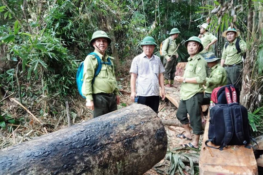 Quảng Nam xác định bảo vệ rừng là trọng tâm xuyên suốt của địa phương 