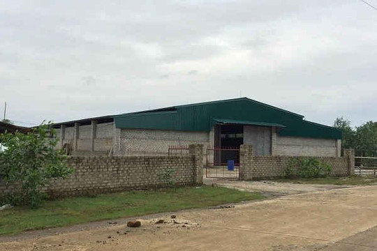 Thanh Hóa: Chậm trễ tháo dỡ nhà xưởng sản xuất bentonit trái phép ở huyện Triệu Sơn