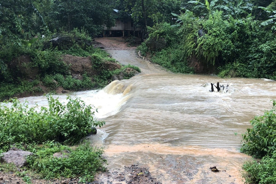 Quảng Trị: Mưa lớn đổ về, 2 người bị nước cuốn mất tích