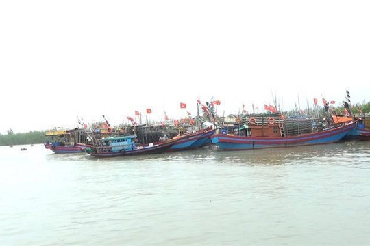 Thanh Hóa: Hơn 7000 phương tiện tàu thuyền đã vào nơi tránh trú bão an toàn