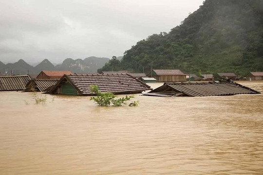 Quảng Bình: Phân bổ 1.000 tấn gạo cứu đói cho nhân dân bị ảnh hưởng do mưa lũ