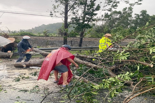 Bão số 9 khiến Huế có gió mạnh, cây xanh đổ la liệt quốc lộ 1A