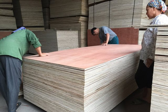 Sản xuất sạch hơn trong ngành gỗ ván ép ở Hà Nội