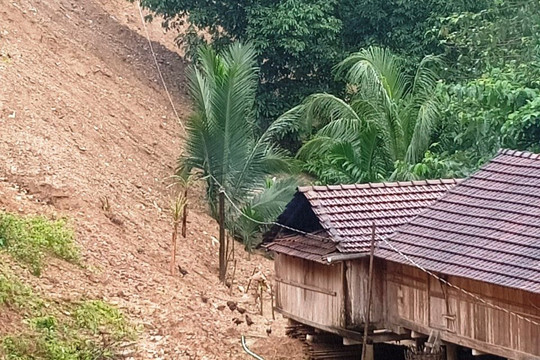 Quảng Ngãi: Khẩn cấp di dời hàng trăm người dân vùng sạt lở núi